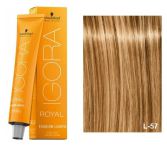Igora Royal Fashion 60 ml