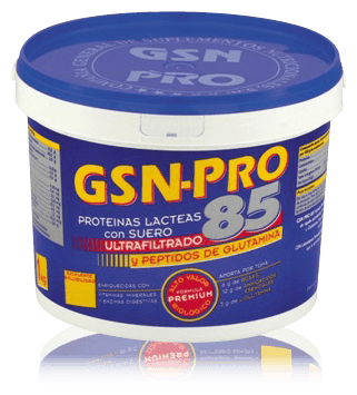 GSN Gsn-Pro 85 Chocolate Flavor