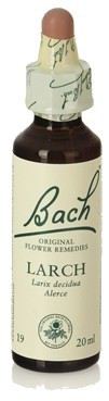 Bach 19 Larch 20 ml Bach 19 Larch 20 ml