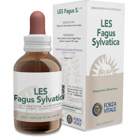 Fagus Sylvatica Beech 50 ml Fagus Sylvatica Beech 50 ml