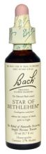 Bach 29 Star of Bethlehem 20 ml