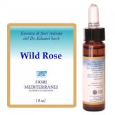 Fm 37 Wilde Rose 10 ml