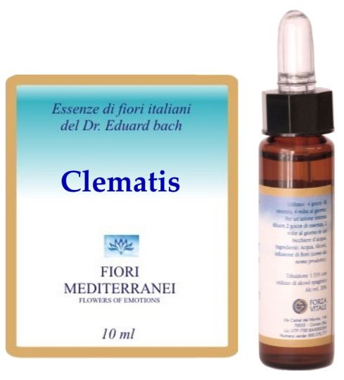 Forza Vitale Fm 9 Clematis 10 ml