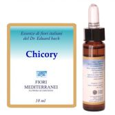 Fm 8 Chicory 10 ml Fm 8 Chicory 10 ml